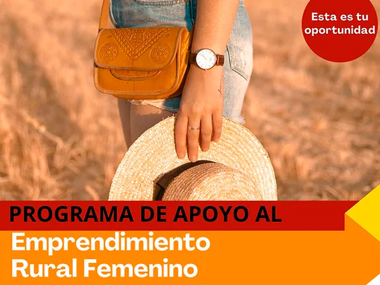 Fomento del autoempleo